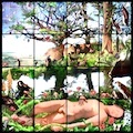 van Blerk - Arcadia (Et in Arcadia Ego) 2009