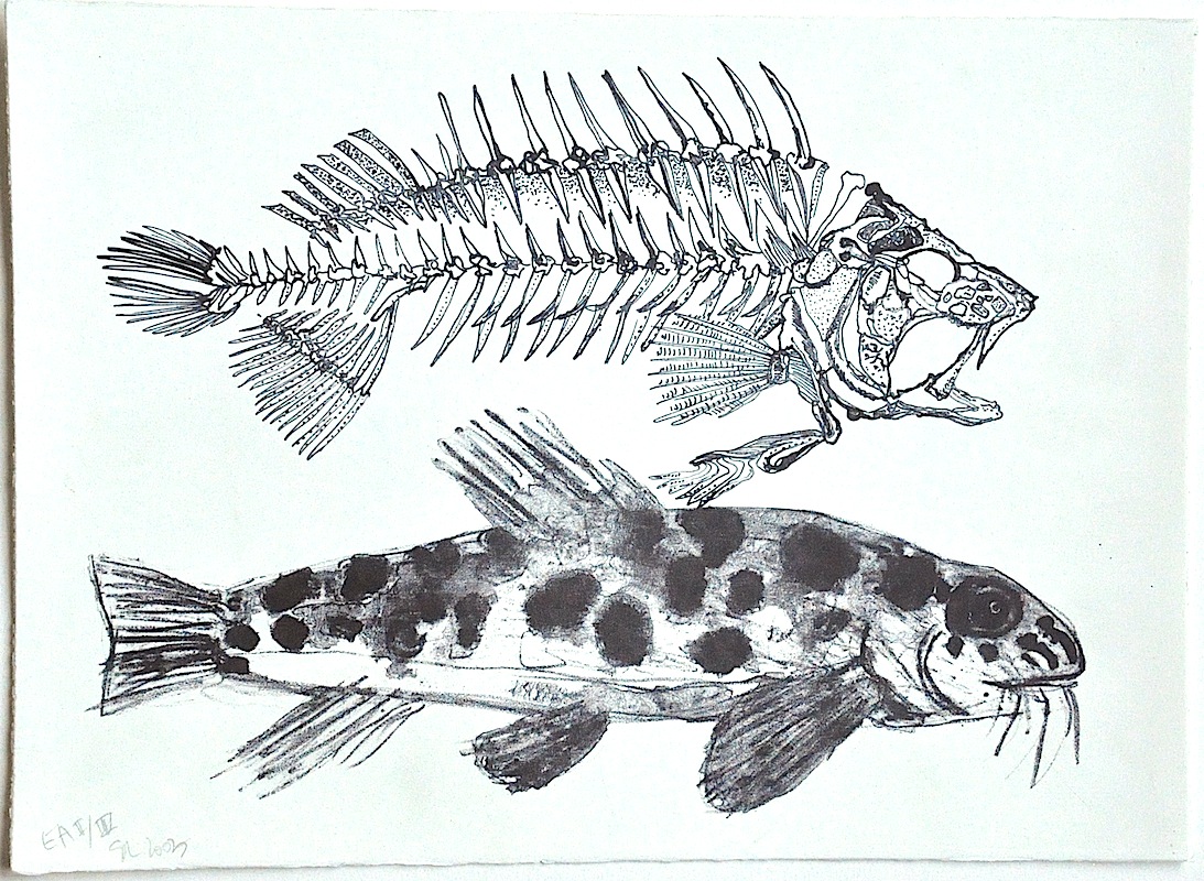 2002_mellot_poisson_et_son_squelette_image_27x38_cm.jpg.jpg_-_copie-3.jpg