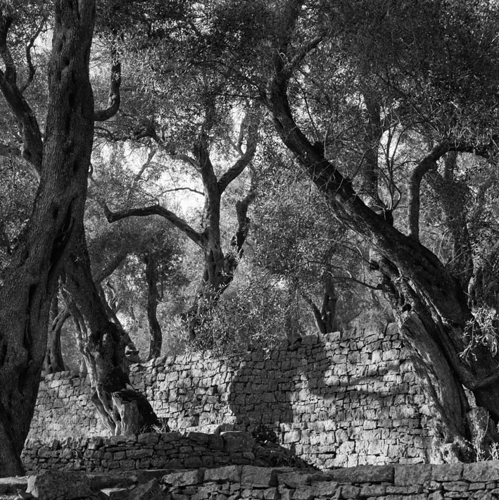 2010_dieu_et_dionysos__la_lumie_reii__paxos_1_9_50x50cm_c_jc_ballot.jpg