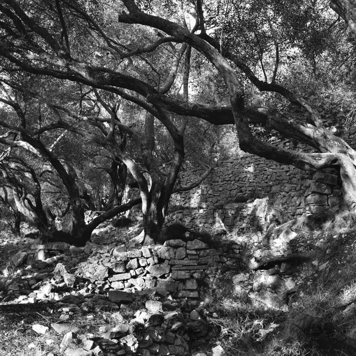 2010_dieu_et_dionysos__les_pe_res_du_de_sert___paxos_1_9_50x50cm_c_jc_ballot-2.jpg