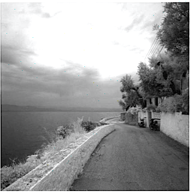 2014_stauffer_giannas_i_5065a8_-2.png