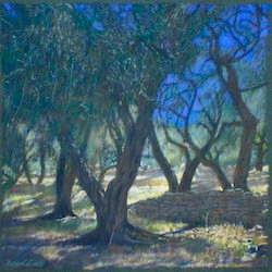olive_grove_i_13_pastel_19x19cm_-_copie.jpg