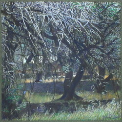 olive_grove_ii_2015_pastel_19x19cm_-_copie.jpg