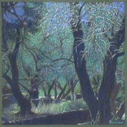 olive_grove_iii_2015_pastel_19x19cm_-_copie.jpg