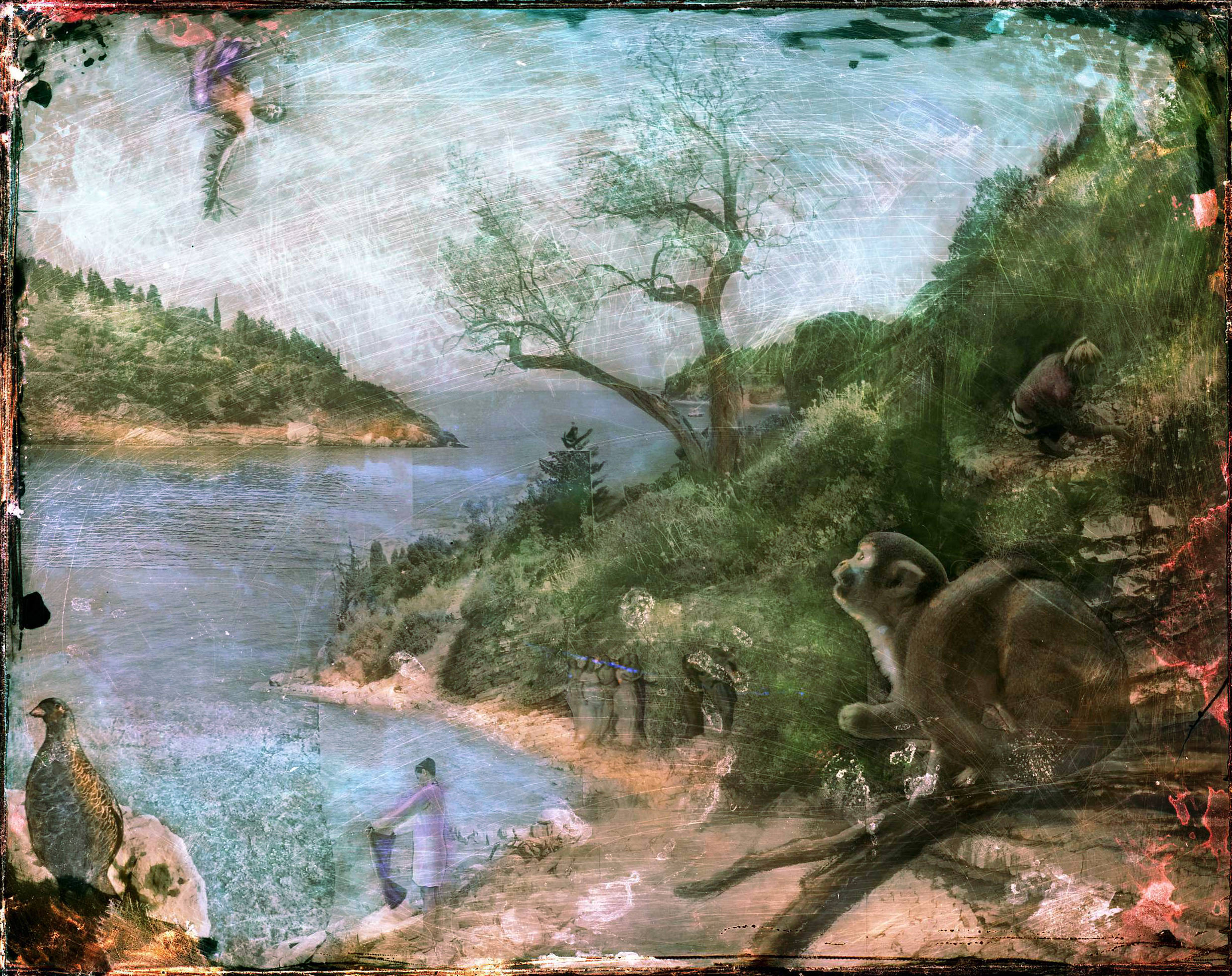paxos_8_.jpg