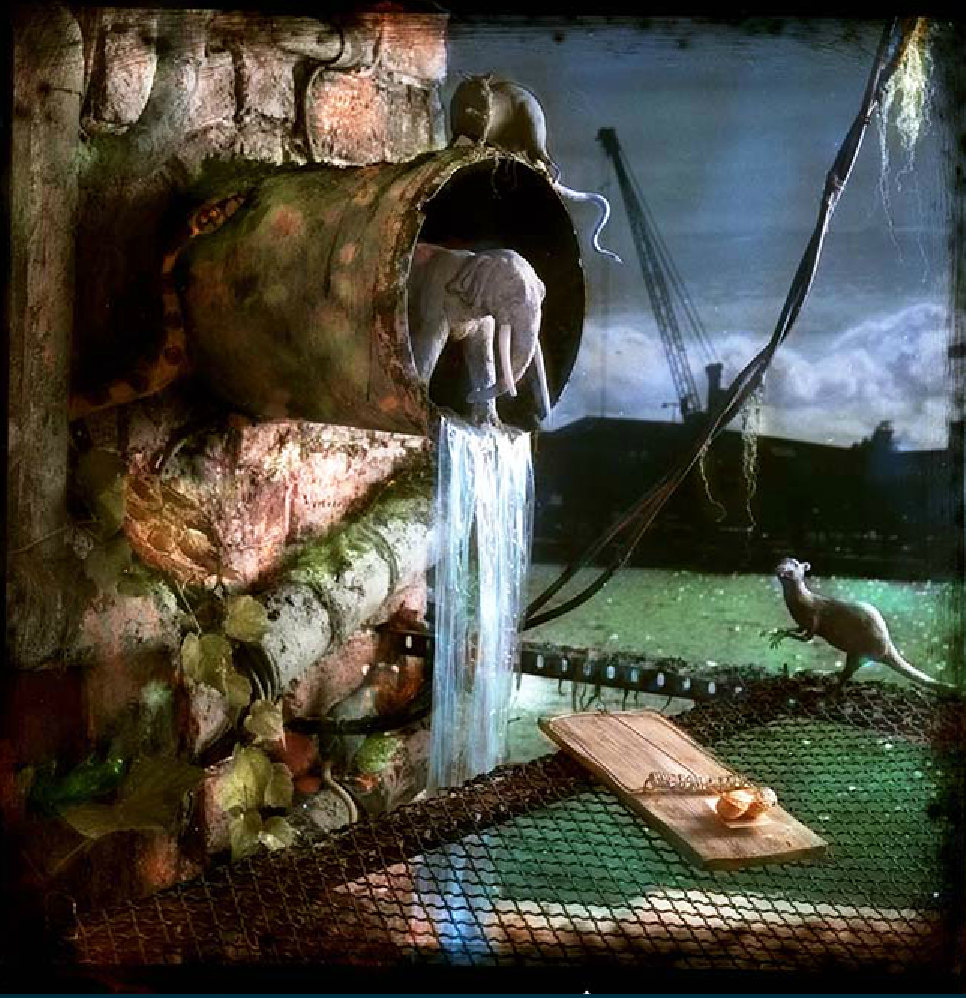 2. Vivian van Blerk - The Fate of Megafauna, 2012, color photography, edition 9, 48x48 cm