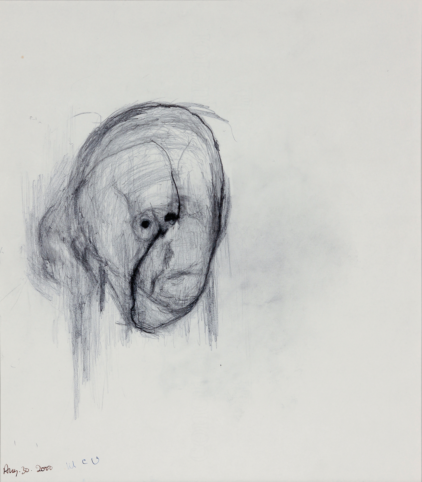44. W.Utermohlen Self Portrait - Head I, 2000, pencil on paper, 40.5x33 cm