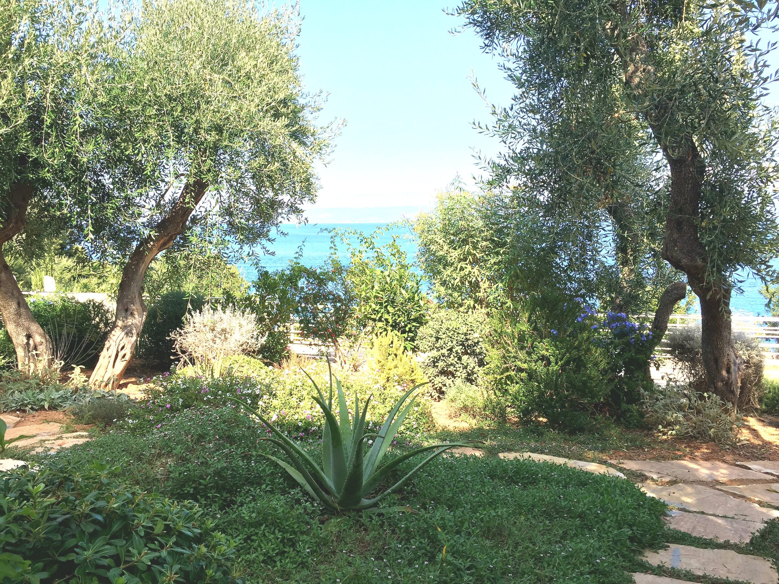 20191016_134114.jpg