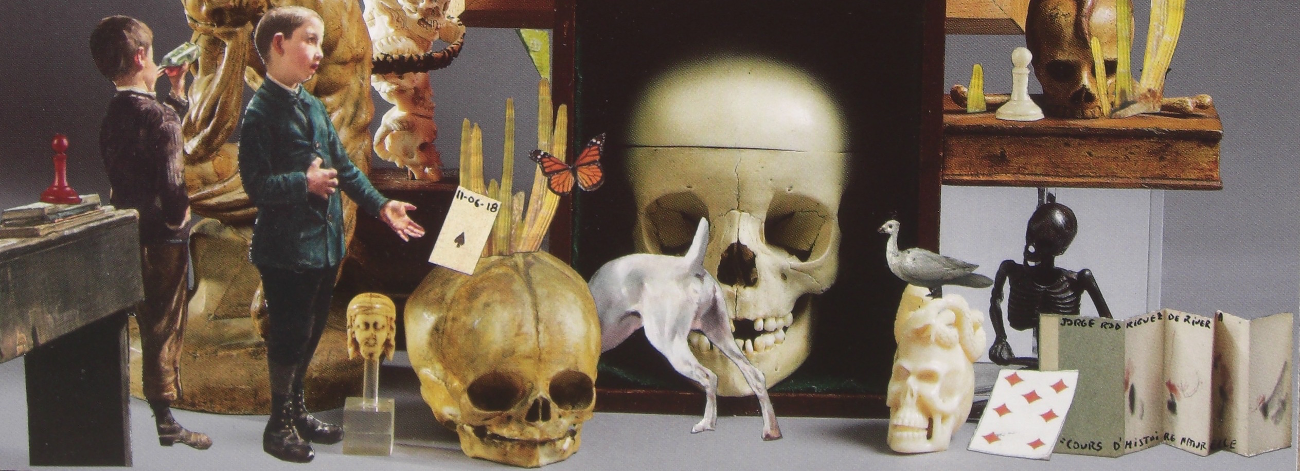 Vanités et Natures Mortes