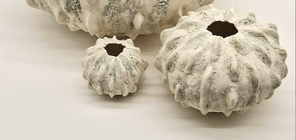 Fired Up ! A Celebration of Irish & Greek Ceramics in Paxos!